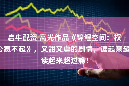 启牛配资 高光作品《锦鲤空间：权臣相公惹不起》，又甜又虐的剧情，读起来超过瘾！