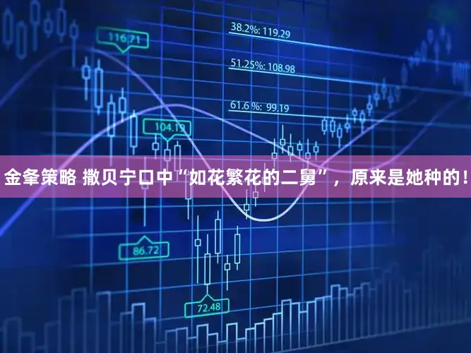 金夆策略 撒贝宁口中“如花繁花的二舅”，原来是她种的！