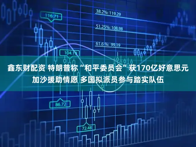 鑫东财配资 特朗普称“和平委员会”获170亿好意思元加沙援助情愿 多国拟派员参与踏实队伍