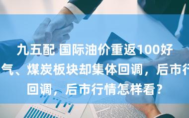 九五配 国际油价重返100好意思元！油气、煤炭板块却集体回调，后市行情怎样看？