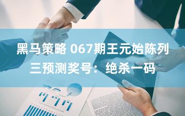 黑马策略 067期王元始陈列三预测奖号：绝杀一码