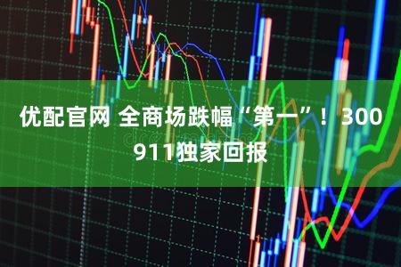 优配官网 全商场跌幅“第一”！300911独家回报