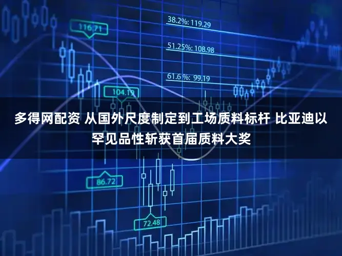 多得网配资 从国外尺度制定到工场质料标杆 比亚迪以罕见品性斩获首届质料大奖