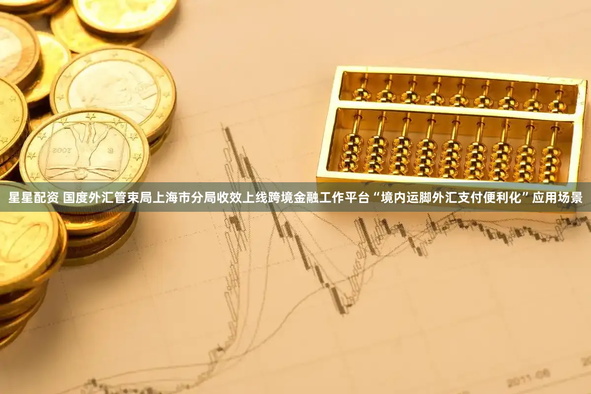 星星配资 国度外汇管束局上海市分局收效上线跨境金融工作平台“境内运脚外汇支付便利化”应用场景