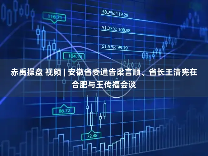 赤禹操盘 视频 | 安徽省委通告梁言顺、省长王清宪在合肥与王传福会谈