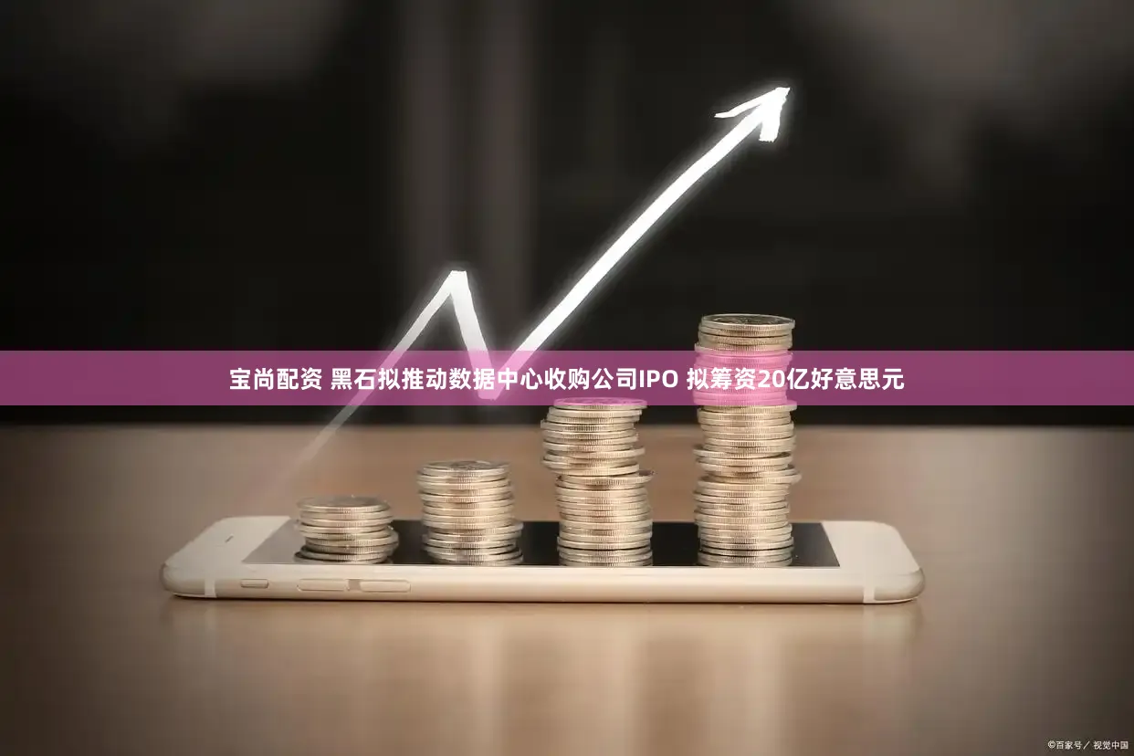 宝尚配资 黑石拟推动数据中心收购公司IPO 拟筹资20亿好意思元