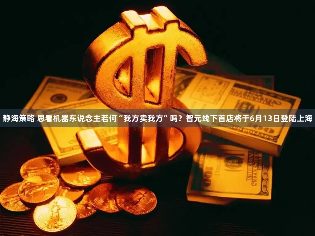 静海策略 思看机器东说念主若何“我方卖我方”吗？智元线下首店将于6月13日登陆上海